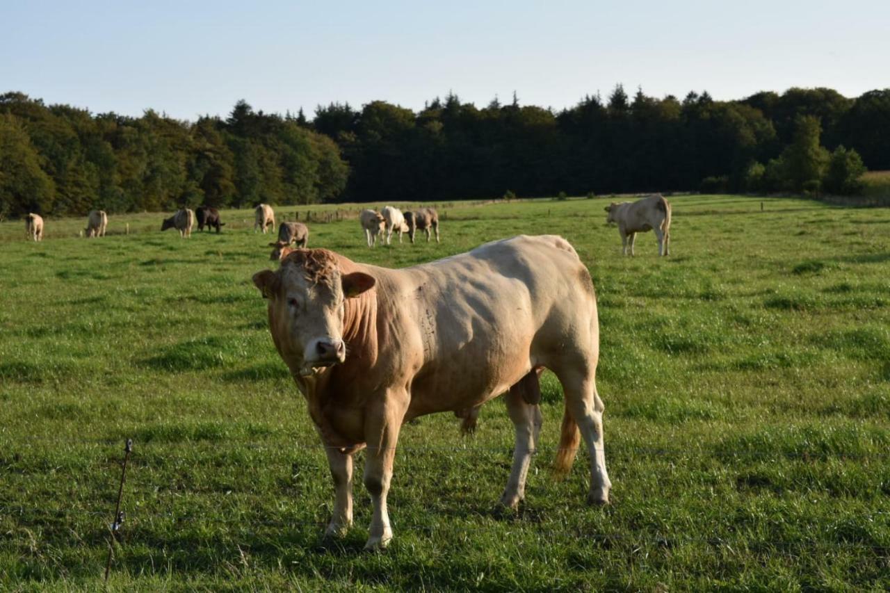 Ferienhaus Nannen Rechtsupweg Luaran gambar